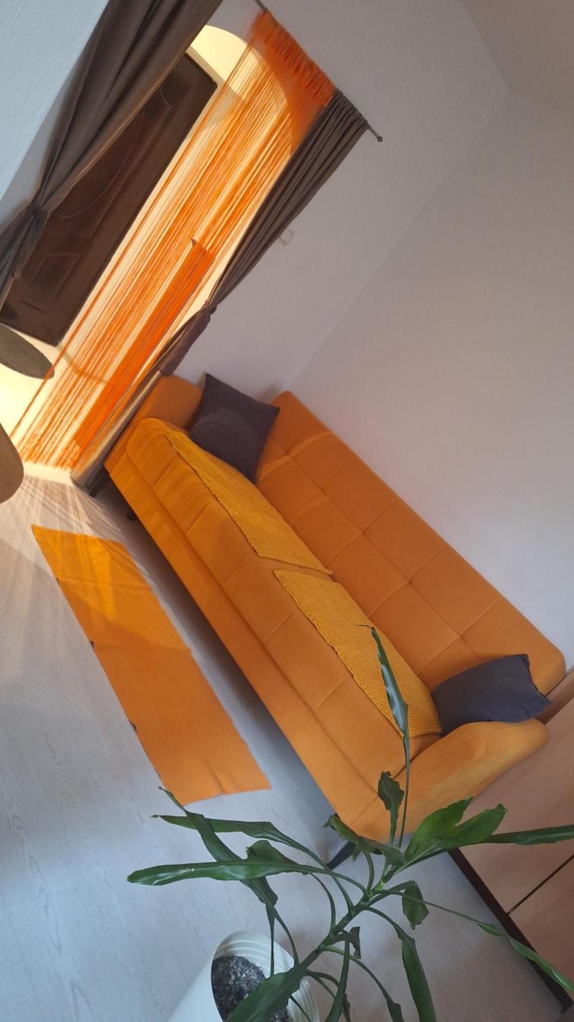 Apartman Maja Belgrad Exterior foto